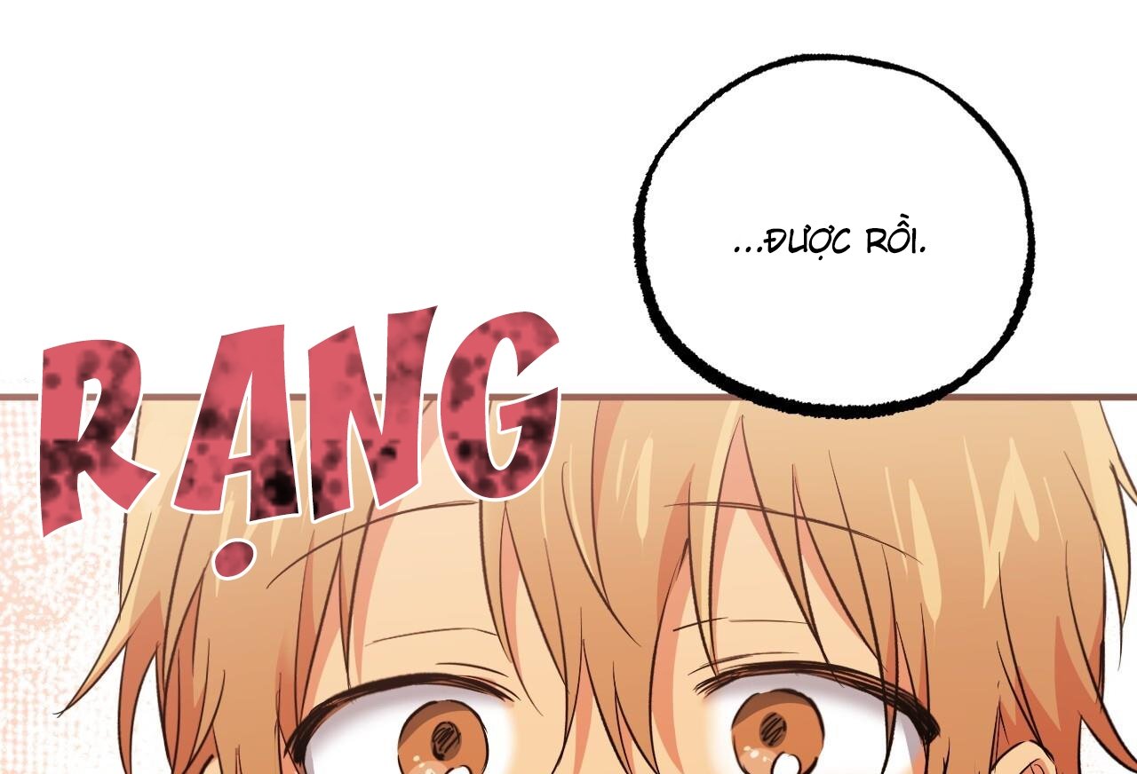 những chú thỏ của hapypy chapter 61 146