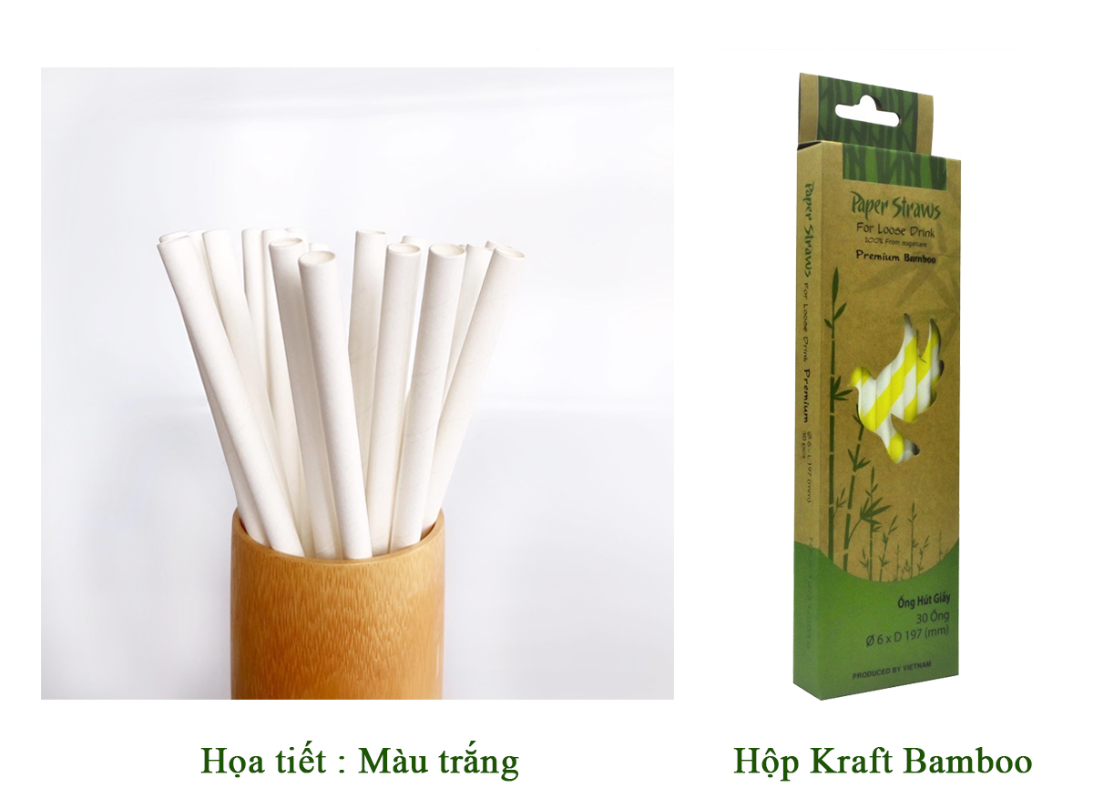 Phi 8 - Hộp 30 ống hút giấy làm từ sợi mía