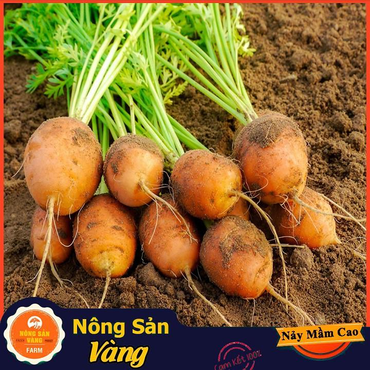 Hạt giống Cà Rốt Củ Tròn ( 0,5 Gram )