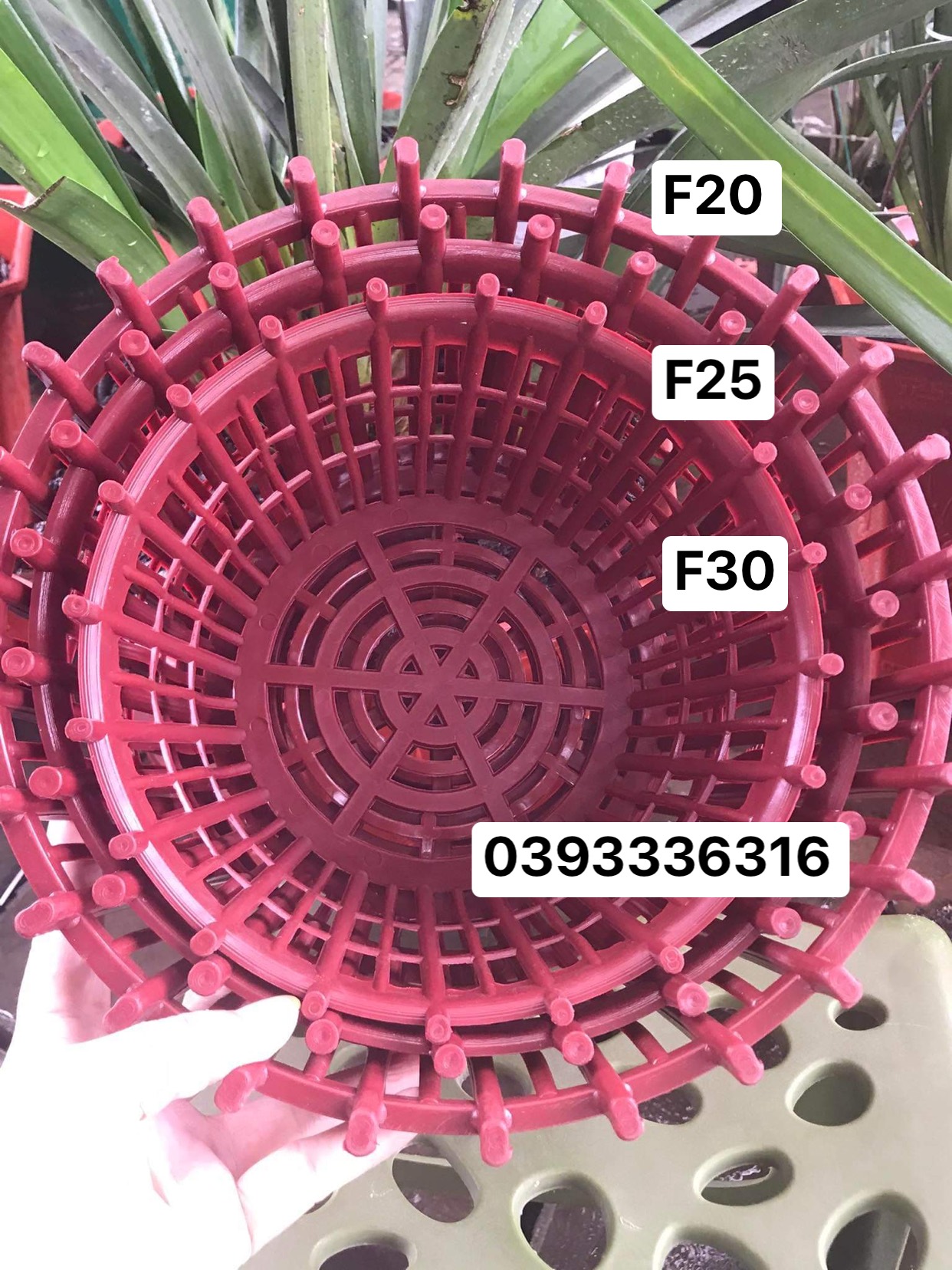 Set 10 chậu nhựa HD có nan phụ f20