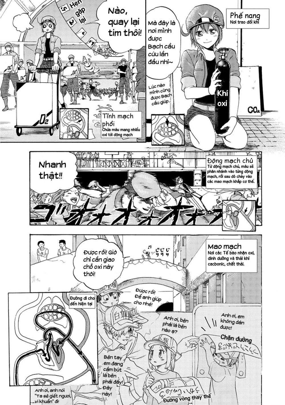 hataraku saibou! chapter 10 16