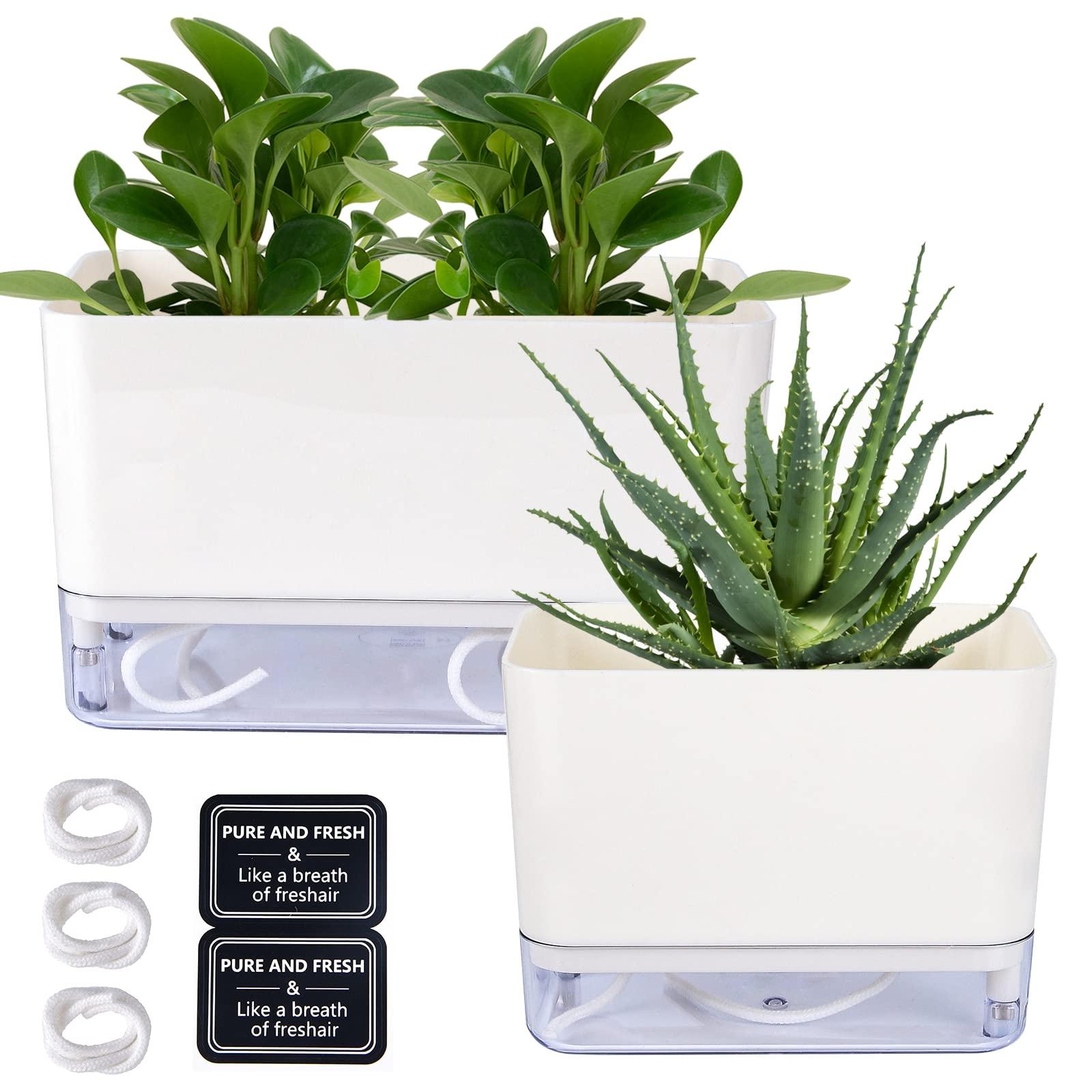 Nồi hoa, bộ 2 nồi thảo mộc, với hệ thống tưới tự động, cây trồng, chậu thơm thảo dược, lọ hoa bên trong ngoài trời