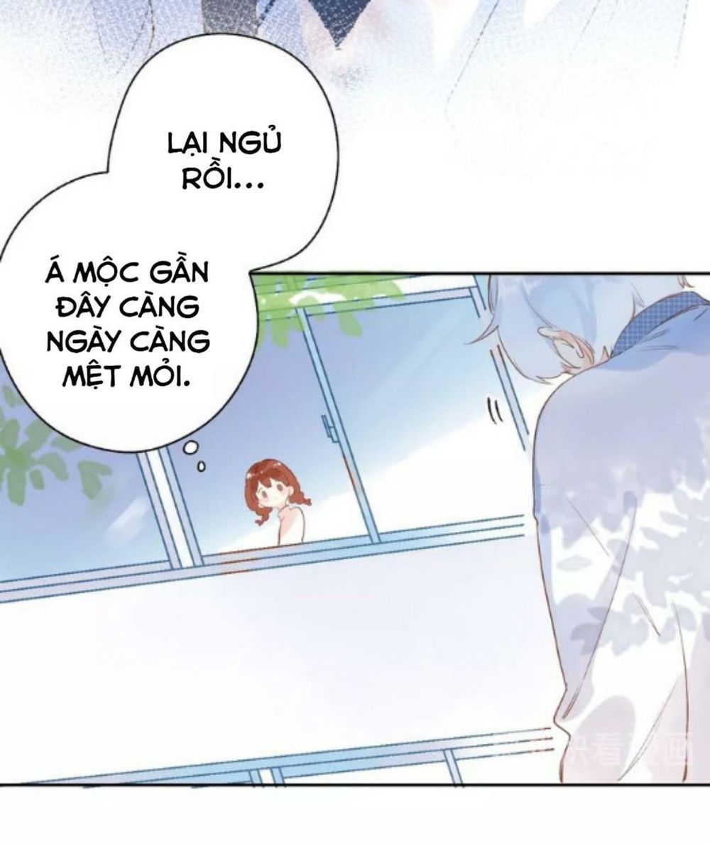 sos! tôi đã yêu một con sâu bướm (phần 2) chapter 56 43