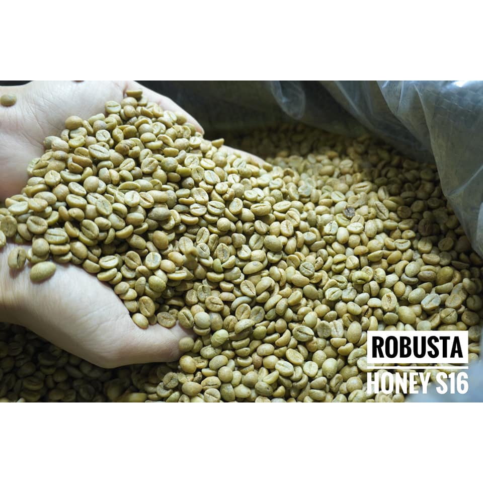 500g Cà Phê Nhân Robusta