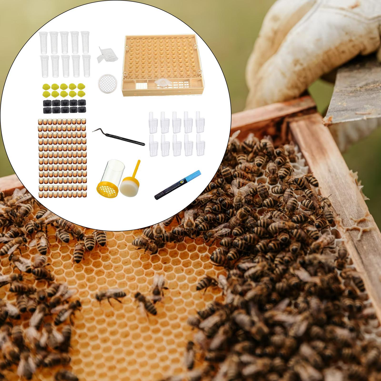 Queen Rearing Cup Kit for Apiculture Bees Tools Professional Convenient