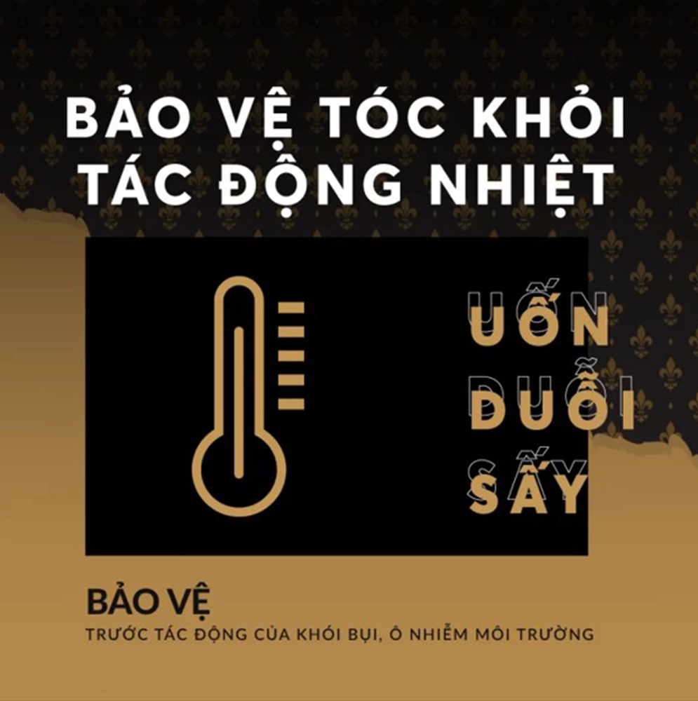 Xịt Phồng Chân Tóc Lavox Gentleman