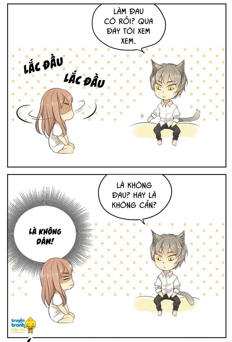 cứu mạng ! loài mèo thống trị thế giới rồi ! chapter 16 13