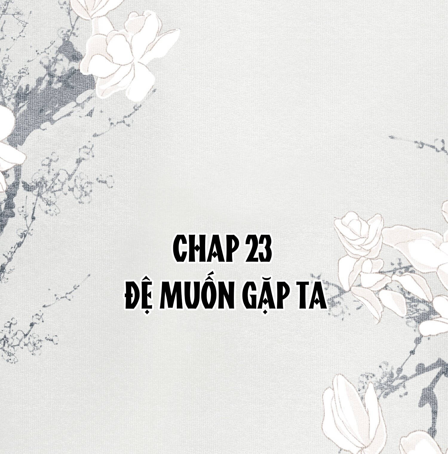 không cẩn thận cứu phải kẻ thù của giang hồ chapter 23 2