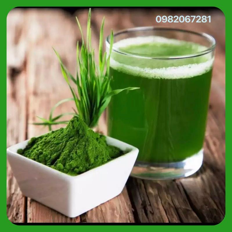25gr Hạt Giống Mầm Lúa Mạch - Cỏ Lúa Mì - tỷ lệ này mầm cao