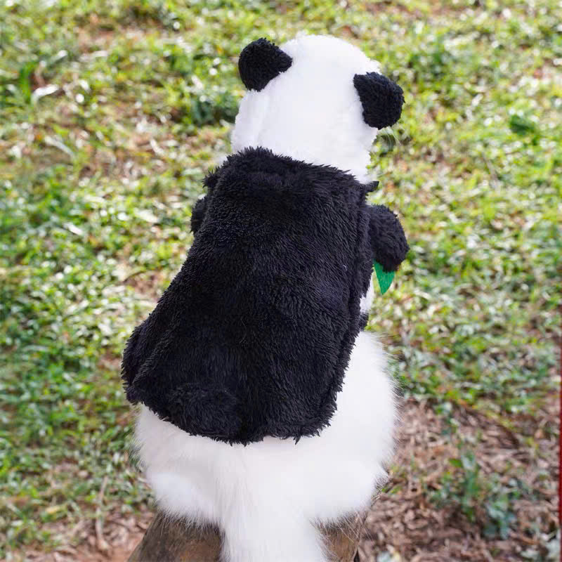 ÁO MŨ GẤU TRÚC CHO THÚ CƯNG CHÓ MÈO