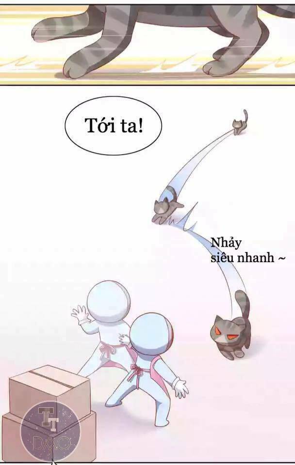 dưới móng vuốt mèo chapter 12 16