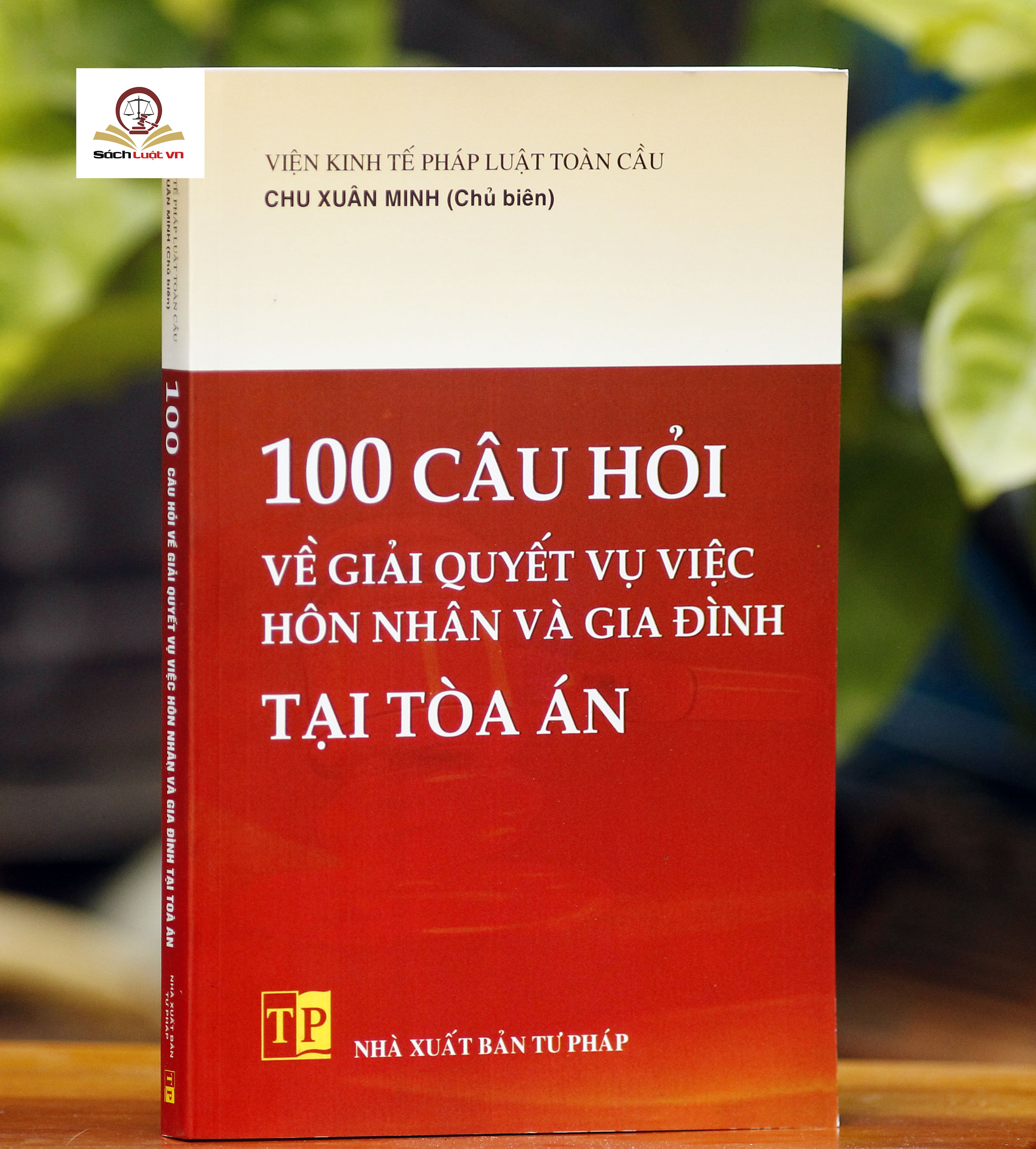 100 câu hỏi về giải quyết vụ việc hôn nhân và gia đình tại tòa án