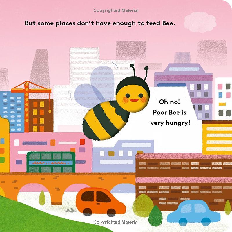 Sách ngoại văn: Little Life Cycles - Bee