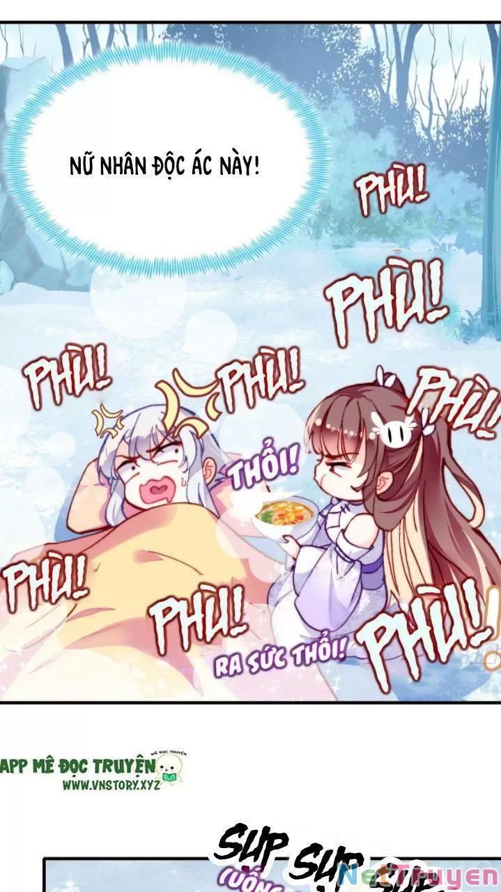 lại bị bệnh chiều chuộng quấn lấy chapter 17 16