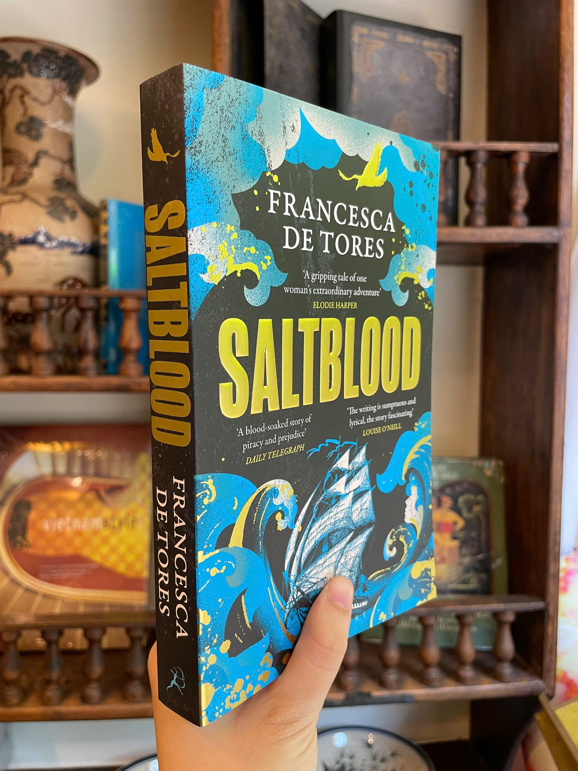 Sách - Saltblood by Francesca de Tores - Historical Fiction/Fiction book in English - Sách Ngoại Văn