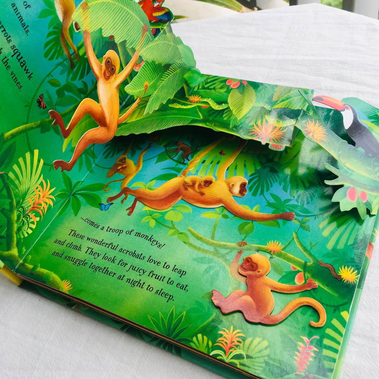 Tuyển tập sách tương tác tiếng Anh Usborne Pop-up books | sách dựng hình 3D