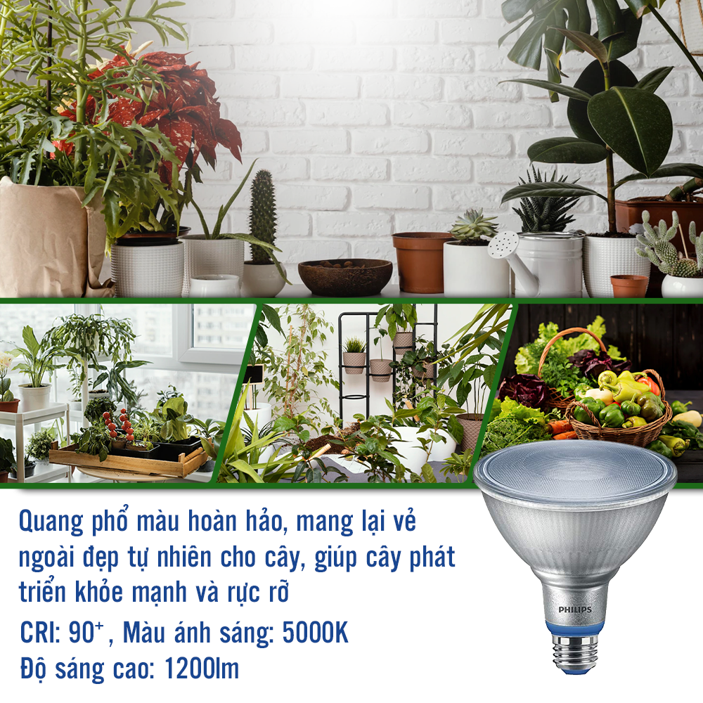 Đèn chiếu cây Philips LED Grow Lamp 16W Par38 E27 950 50D