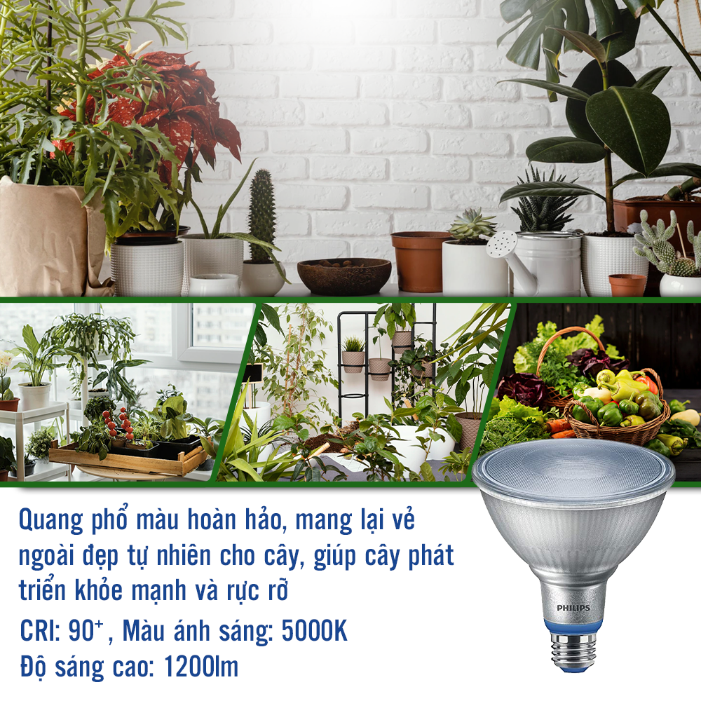 Đèn chiếu cây Philips LED Grow 16W Par38 E27 950 50D