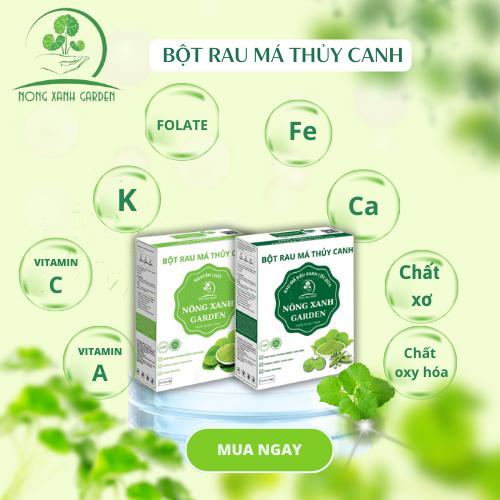 Nông Xanh Garden Combo 2 Hộp Bột Rau Má Thủy Canh Nguyên Chất+Đậu Xanh Cốt Dừa Hộp 15 gói hòa tan uống liền,thanh nhiệt, làm đẹp da