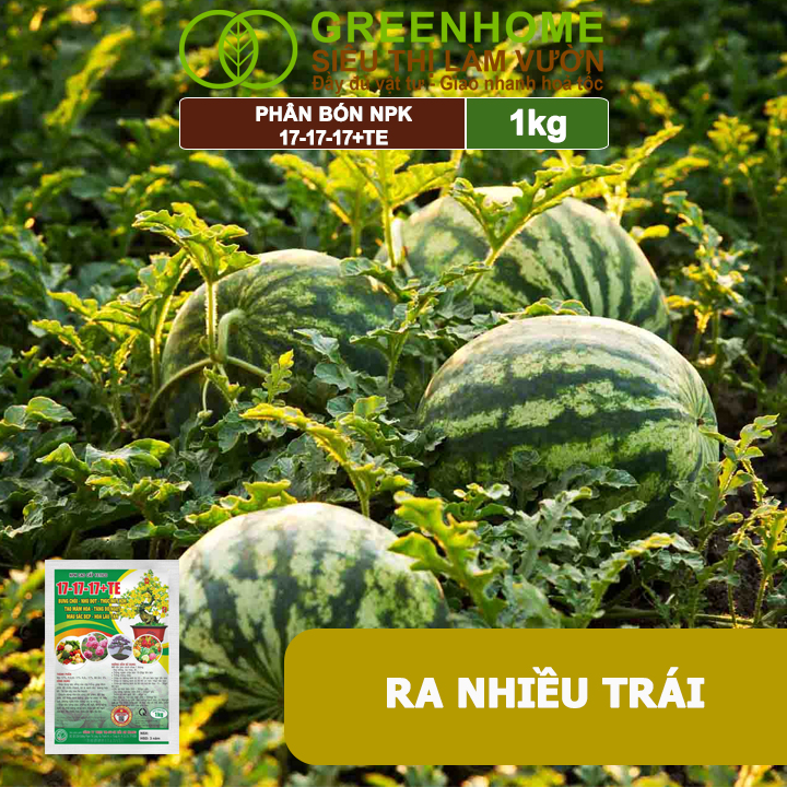 Phân Bón NPK 17-17-17+TE, Greenhome, Gói 1kg, Bung Chồi Đọt, Thúc Nút Kim, Tạo Mầm Dưỡng Hoa
