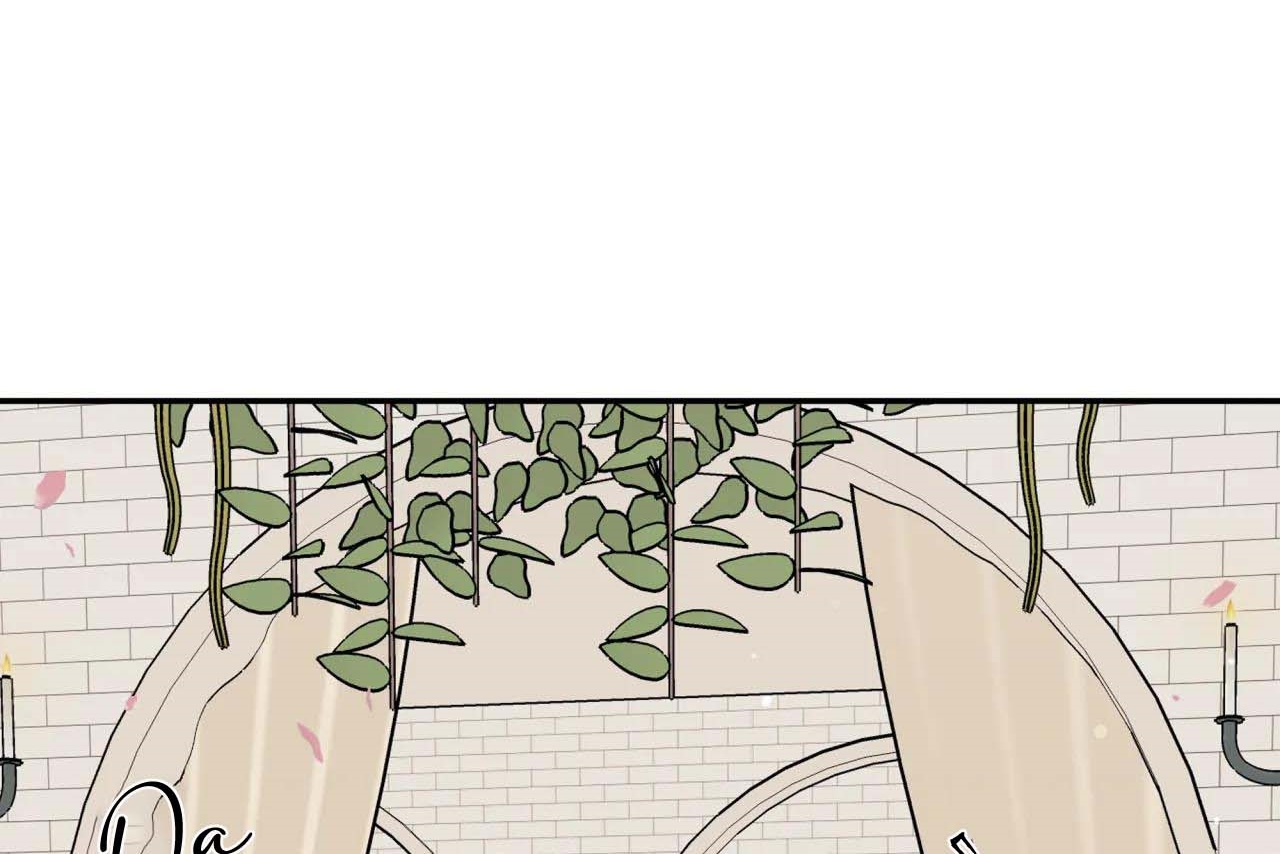 ám ảnh pheromone chapter 57 8