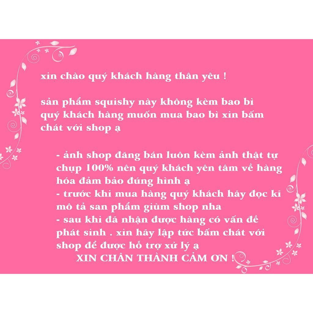 SQUISHY SQUISHY CÔNG CHÚA