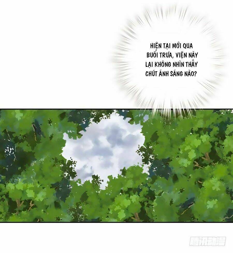 thiền tâm vấn đạo chapter 4 33