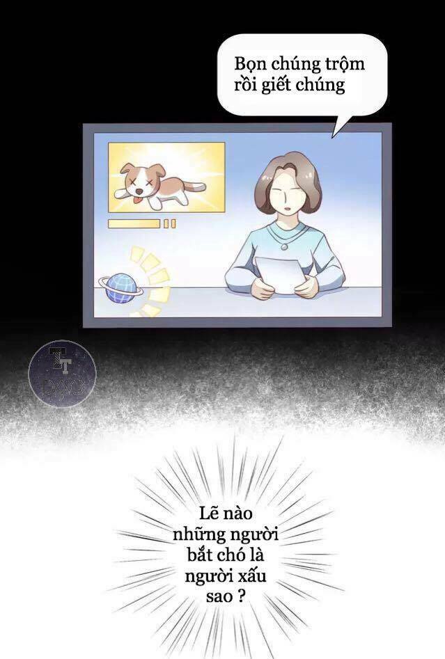 dưới móng vuốt mèo chapter 15 27