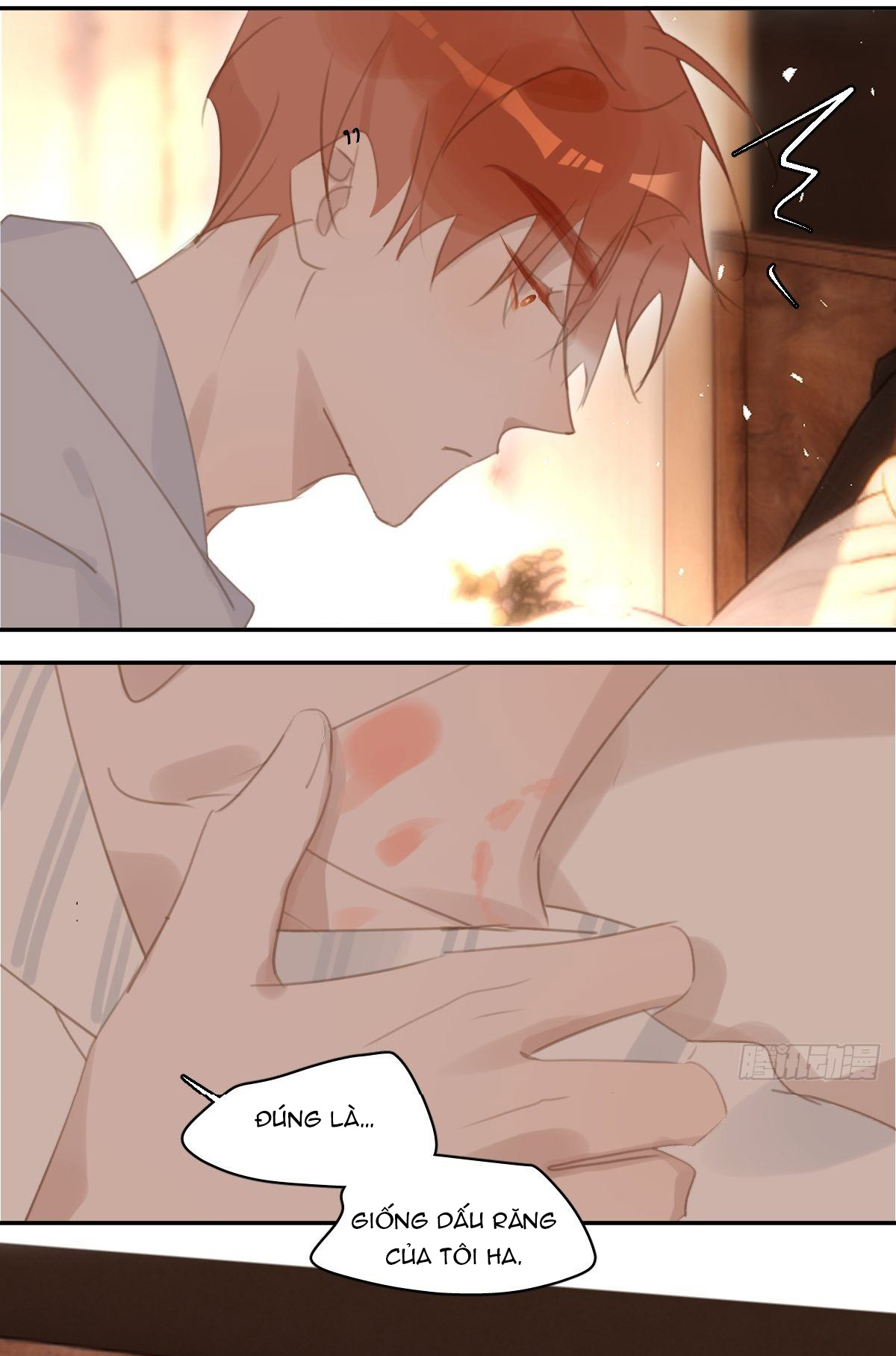 đêm đầy sao nói với em chapter 56 12