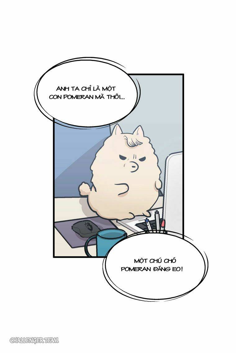 happy if you died chapter 5 10