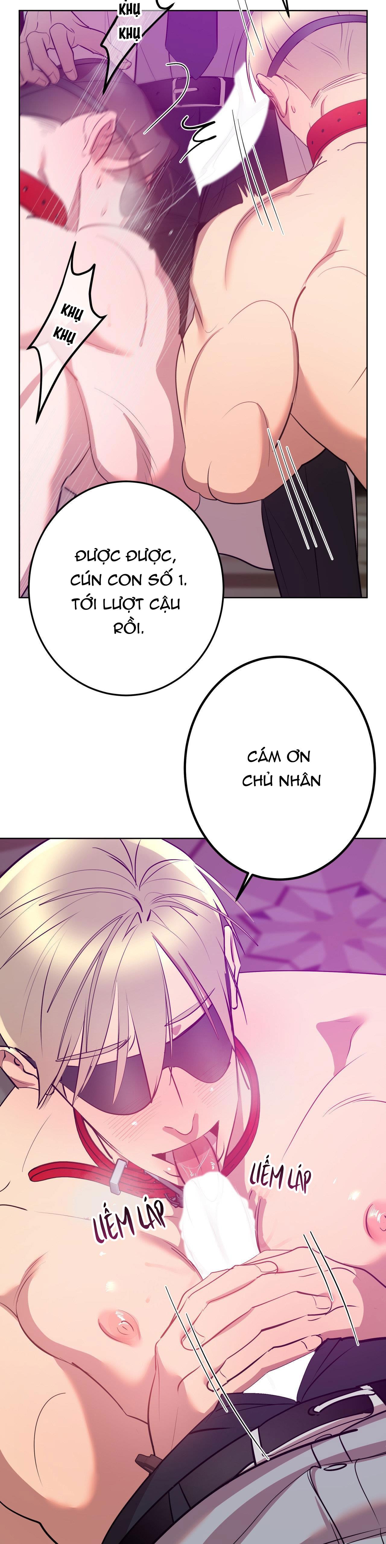 câu lạc bộ bí mật chapter 1.5 15