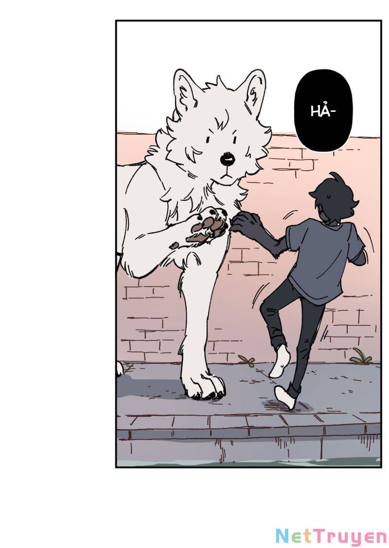 lumine - cội nguồn ánh sáng chapter 91 31