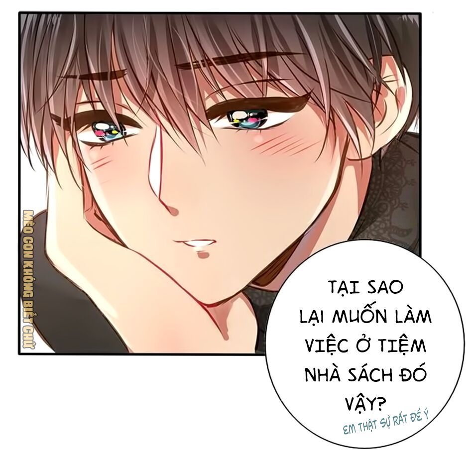 không có ssr làm sao để yêu chapter 11 18