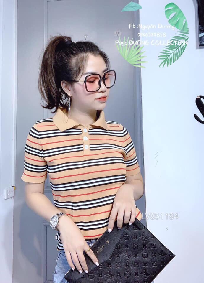 Áo thun kẻ có cổ