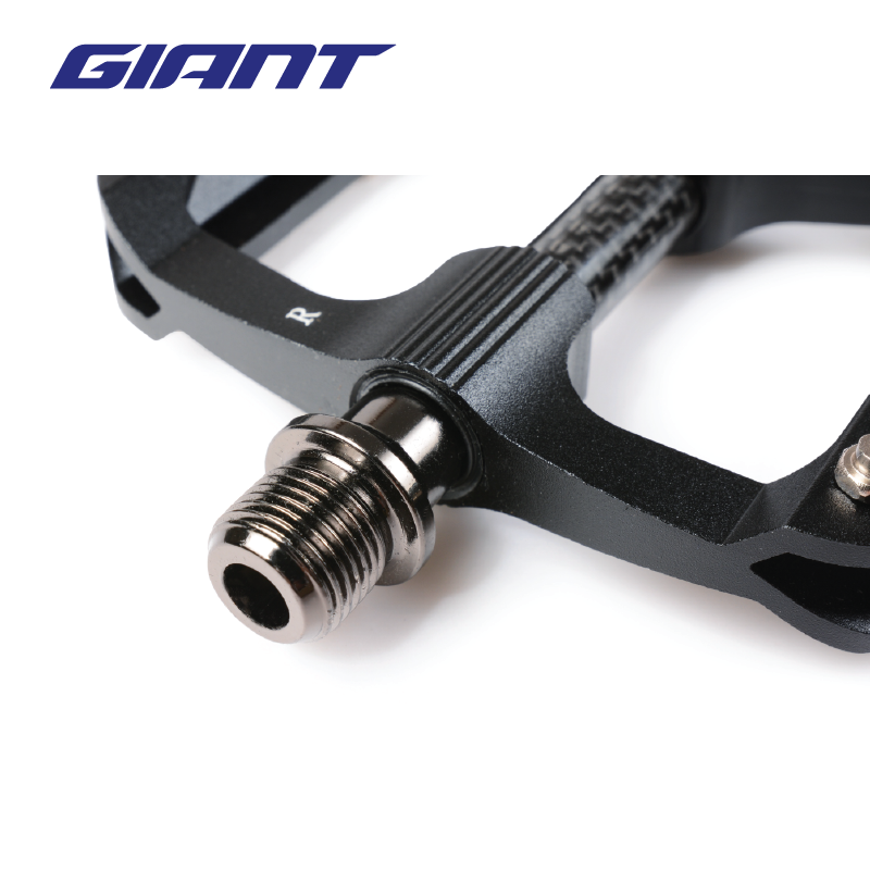 BÀN ĐẠP GIANT – HILL CARBON