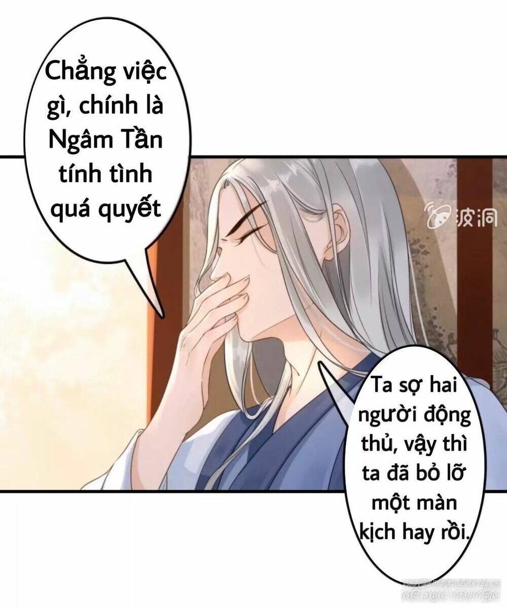 sủng phi của vương chapter 73 7