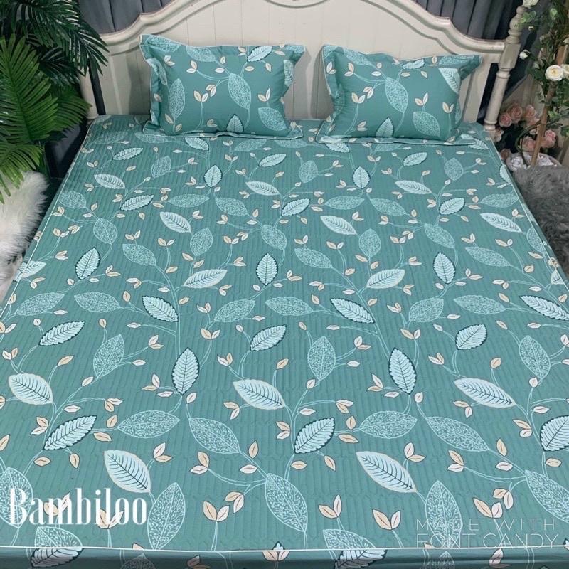 Bộ Ga Gối Cotton, Ga Chun Trần Bông Đủ Kích Thước Nệm Bọc Được Đệm 10p Ga Phân Phối Độc Quyền