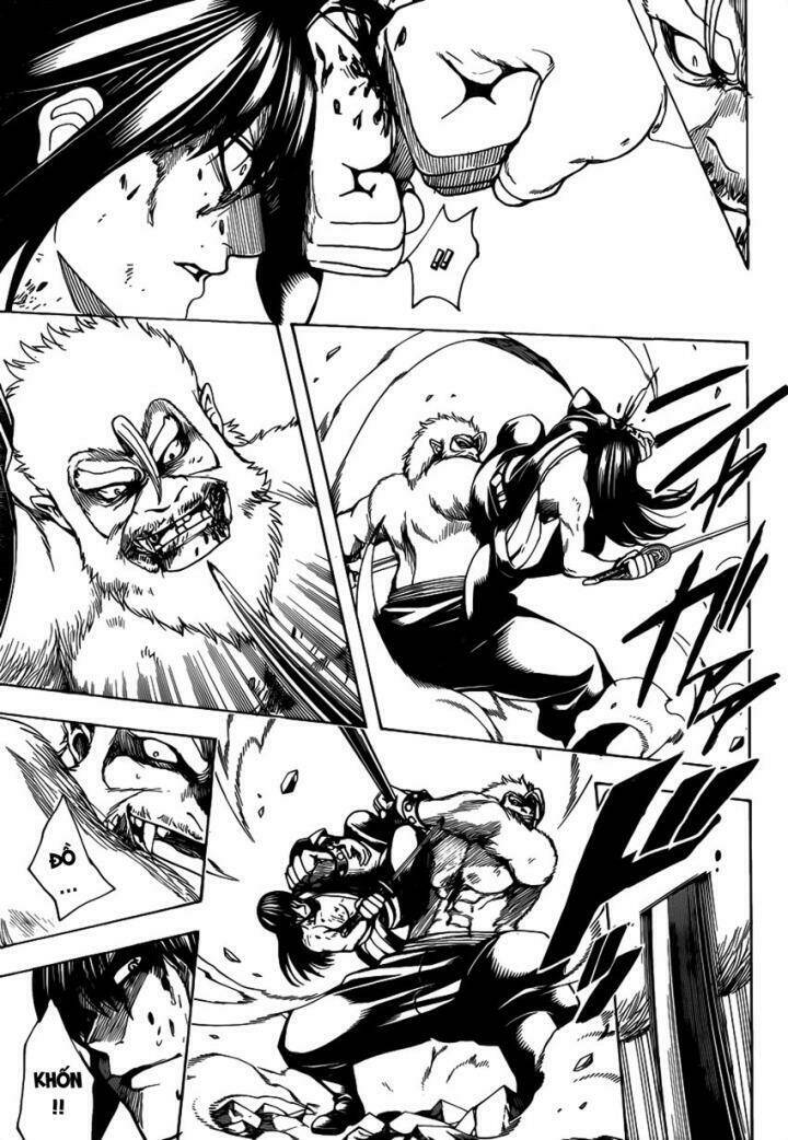 gintama - linh hồn bạc chapter 564 6