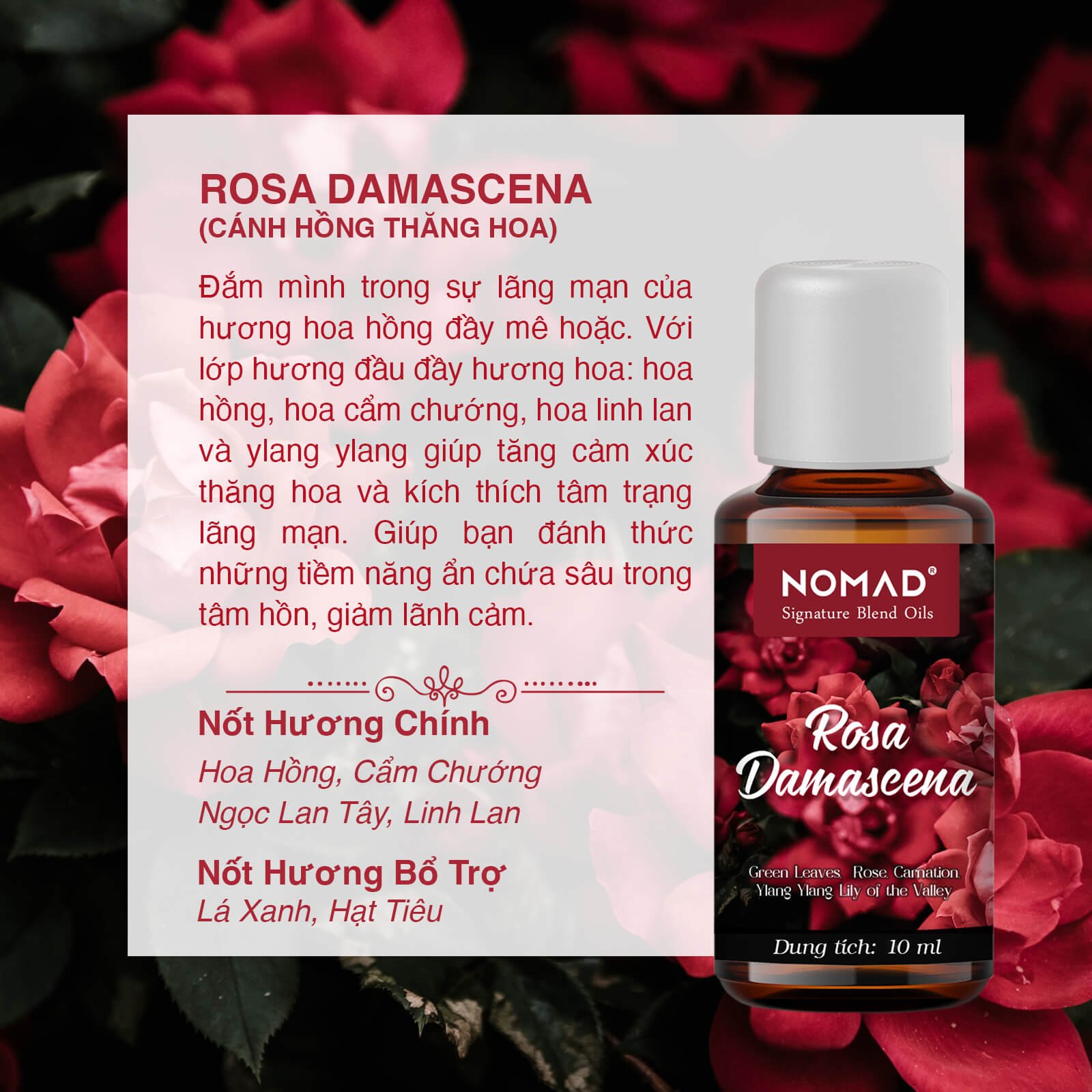 Tinh Dầu Thơm Cao Cấp Nomad Signature Blend Oils - Rosa Damascena