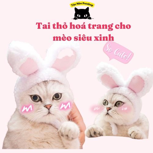 Mũ tai thỏ hoá trang, giữ ấm cho thú cưng