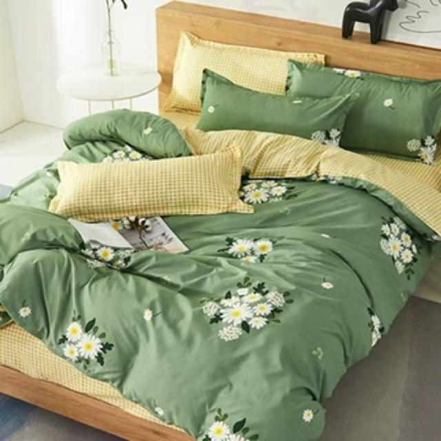 Set Cotton Poly Nhập Khẩu Cao Cấp Mẫu Mới Nhất 2020 Cúc Hoạ Mi Xanh