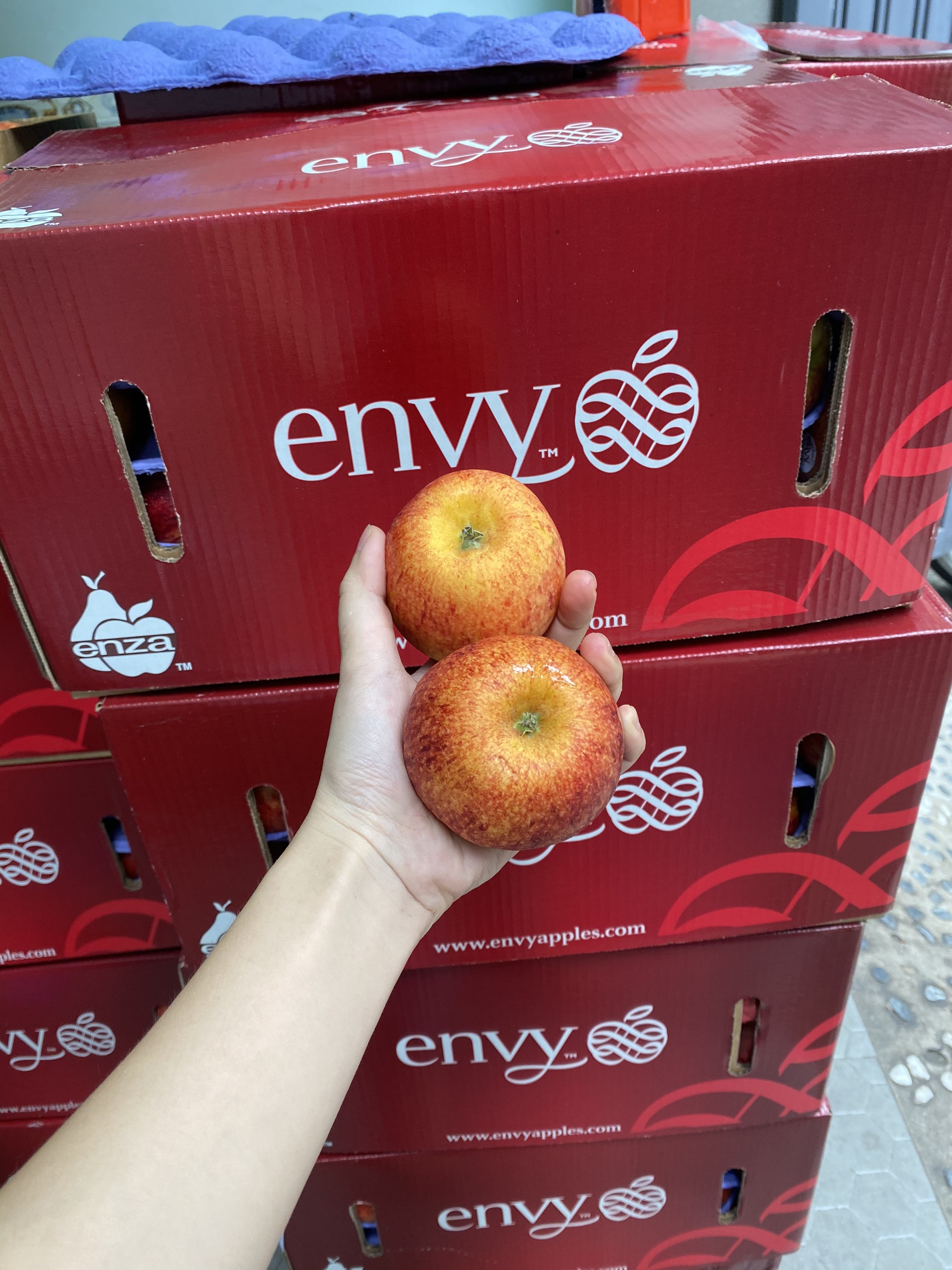 VG FARM Táo Envy Size 100