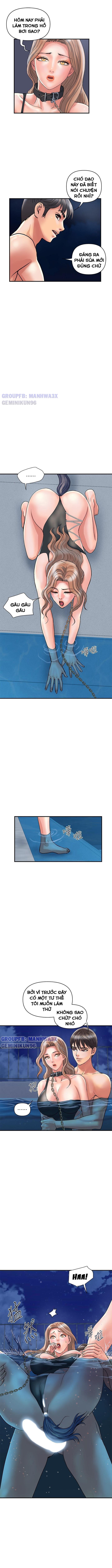 chất dẫn dục chapter 29 9