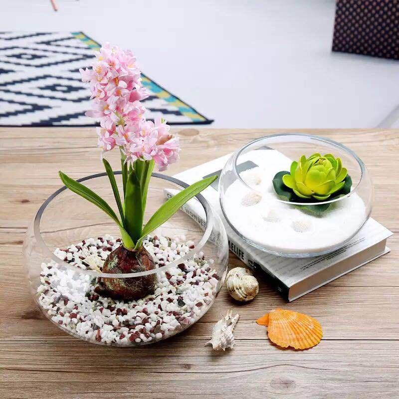 Chậu thủy tinh tròn thấp đường kính 23 cm nuôi cá cảnh nhỏ, trồng cây thủy sinh, mix tiểu cảnh terrarium