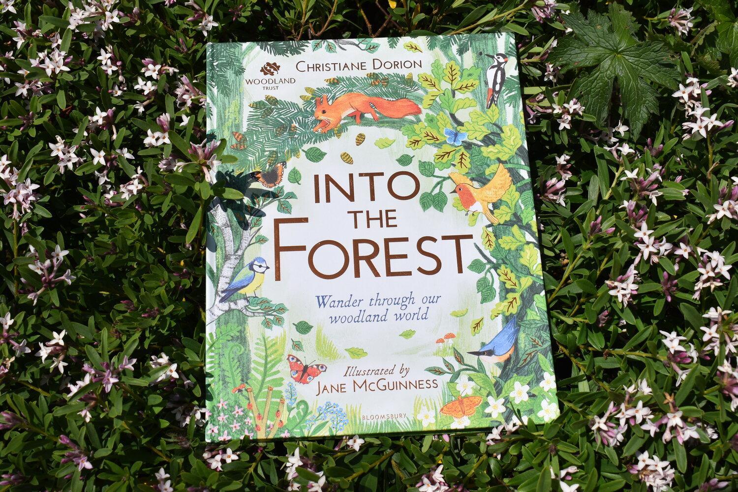 The Woodland Trust: Into The Forest