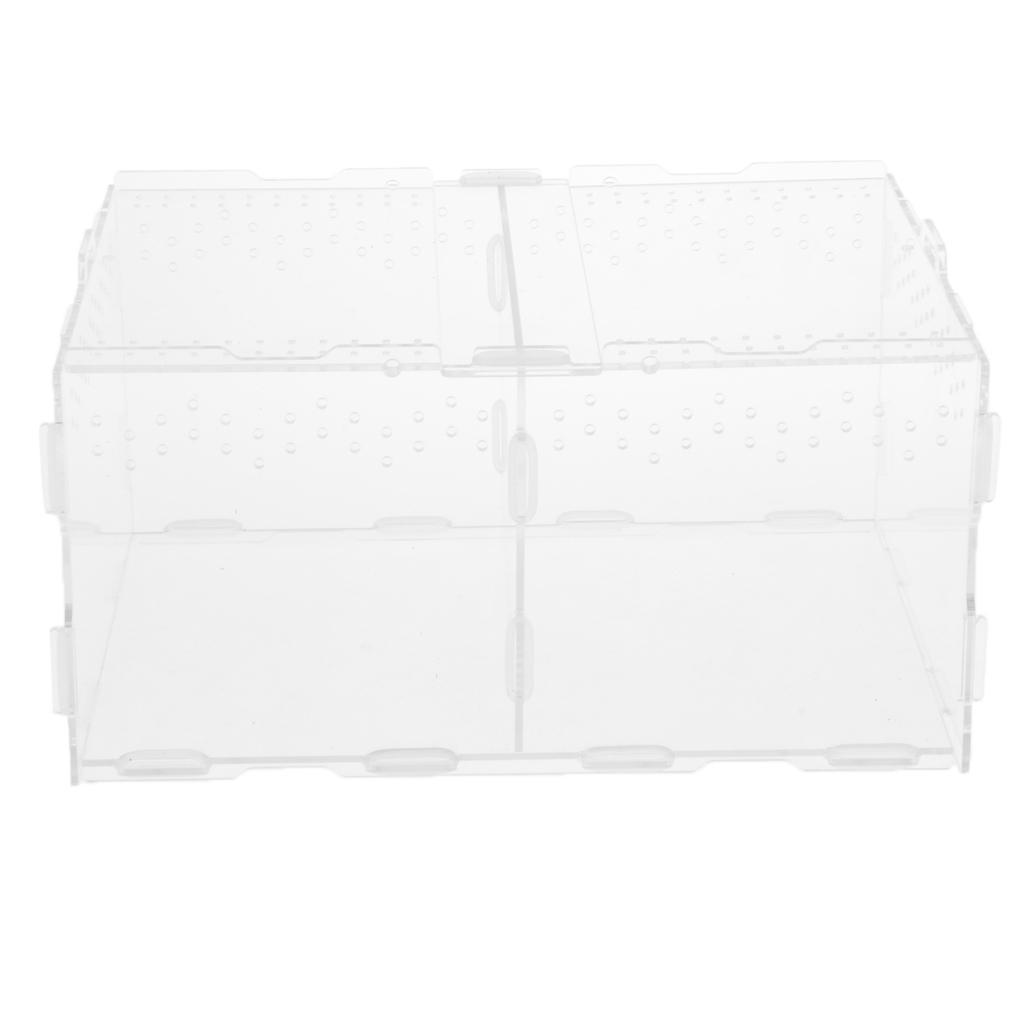 Acrylic Feeding Container Breeding Box An Room for Reptile