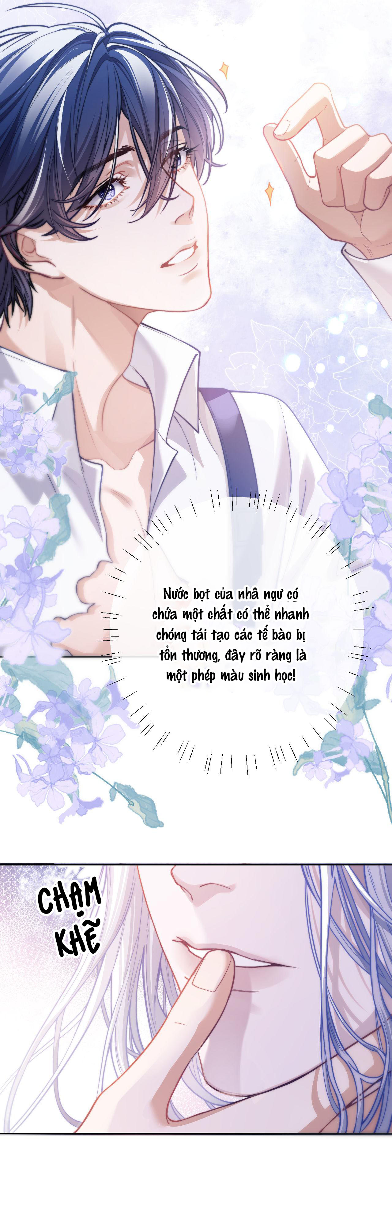 nhân ngư dessaro chapter 7 8