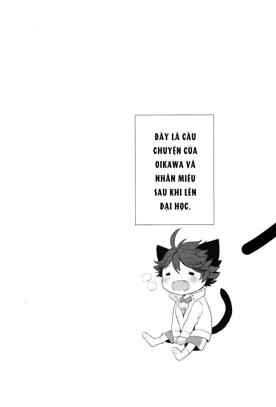 tuyển tập haikyuu dj by dammei bl chapter 5 1