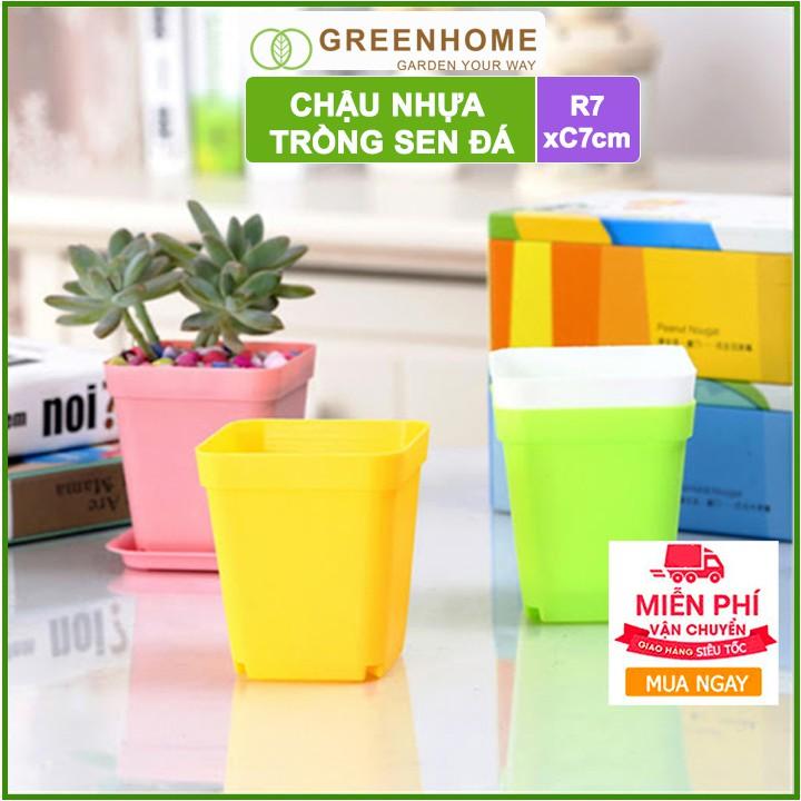 Bộ 5 Chậu nhựa trồng sen đá ,xương rồng, 7x7cm, màu sắc hiện đại