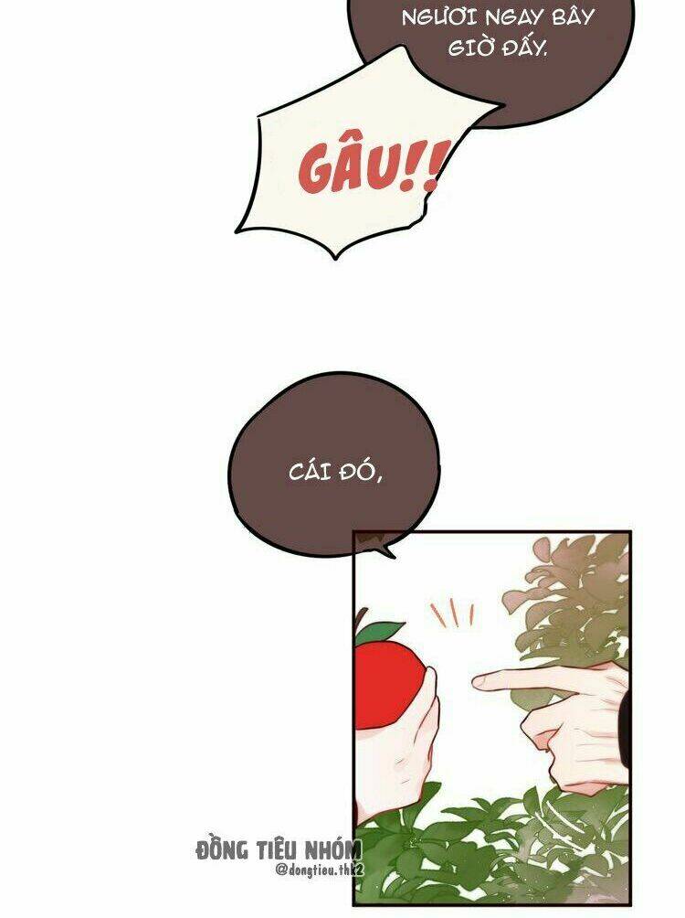 đêm ngày không dứt chapter 15.1 23